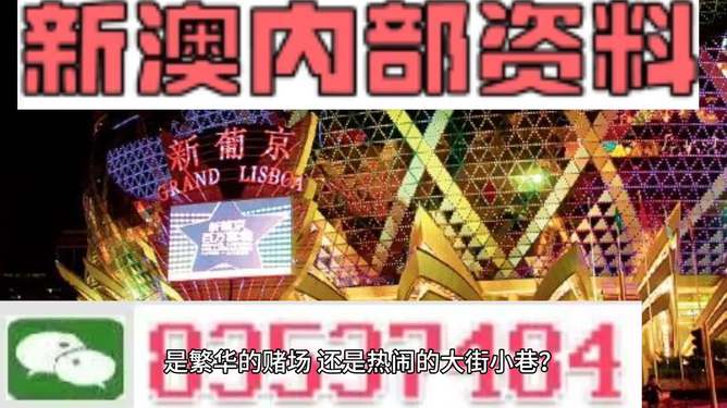 新澳门精准资料大全管家婆料,专家意见法案_PLI27.867投影版