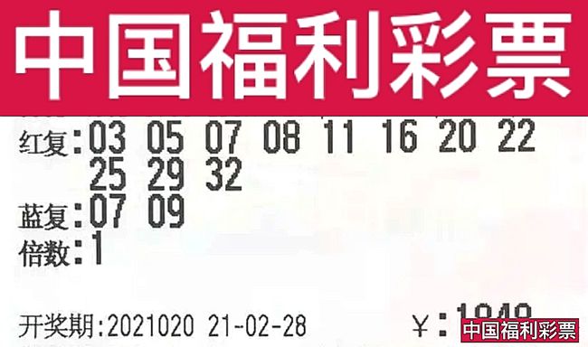 新澳门彩开奖结果今天查询,实地验证研究方案_MPL27.946妹妹版