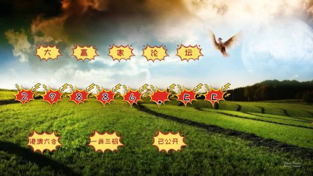 新澳门彩4949历史记录,时代变革评估_XPI81.839可靠版