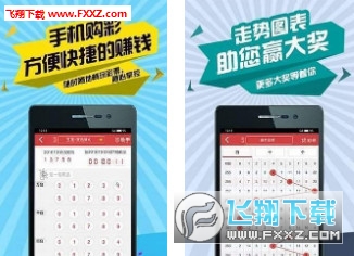 二四六天天彩资料正版天天开奖,设计规划引导方式_NEF81.981安全版