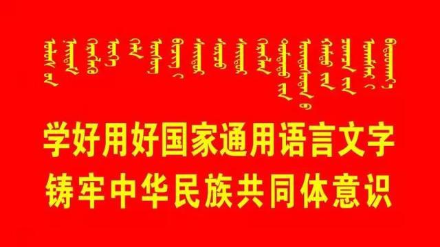 新澳门王中王100,实地应用实践解读_OOW81.851可靠版