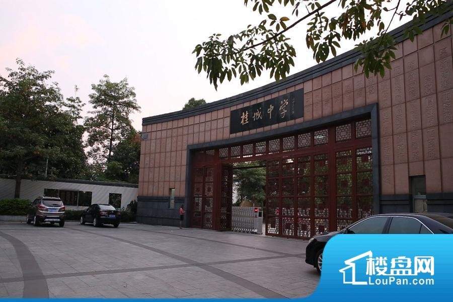 佛山联海国际最新价格,佛山联海国际最新价格动态及分析
