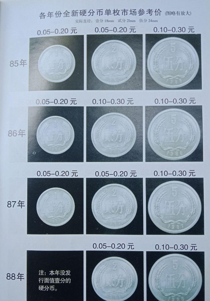 硬币最新价,硬币最新价，一场关于友情与陪伴的温馨之旅