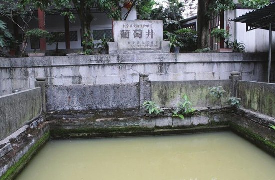 最新咸宜井,最新咸宜井，回溯背景、重要事件与地位的时代印记