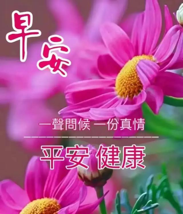 早上最新图,早上最新图🌞｜元气满满开启每一天的美好瞬间💖