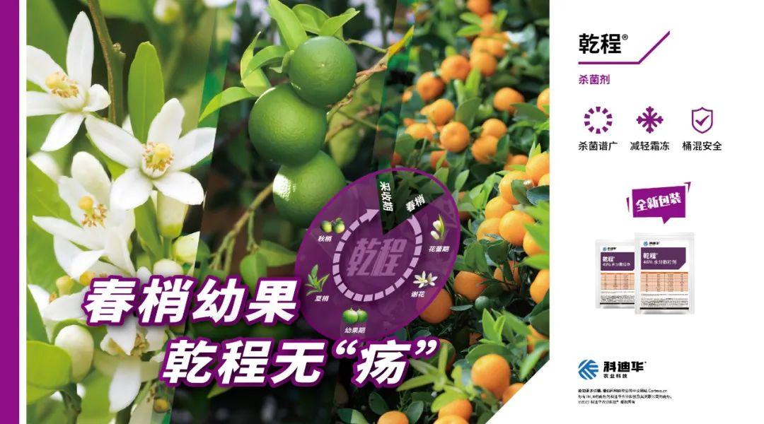 笨最新价格,笨最新价格，详细步骤指南