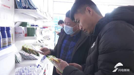 峡山最新招,峡山最新招，友情与陪伴的温馨日常