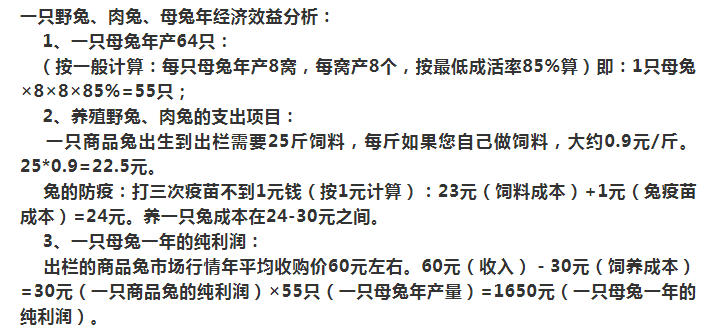 今日兔价兔子价格行情,今日兔价兔子价格行情