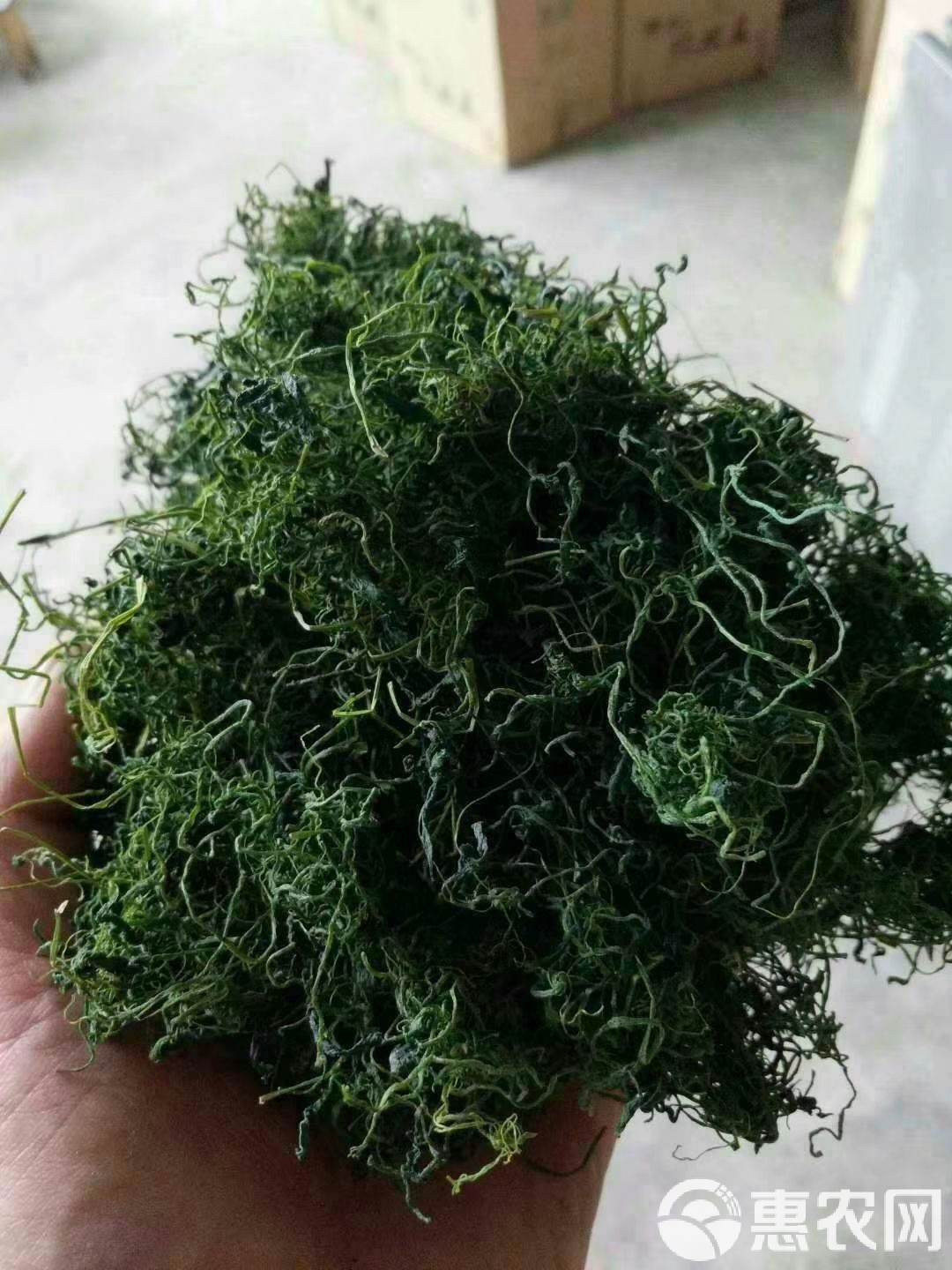 绞股蓝行情,绞股蓝行情，一路逆袭，成就自信与成就感的励志之旅
