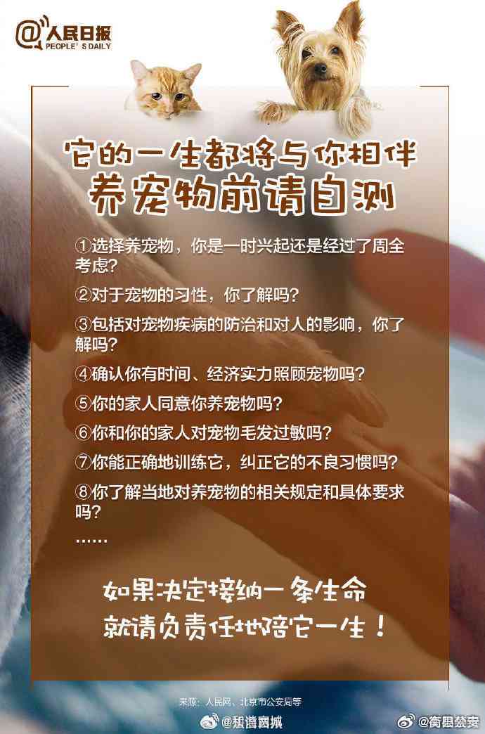萌宠情感纠葛新篇章,萌宠情感纠葛新篇章——全新智能宠物伴侣，科技引领人宠新生活