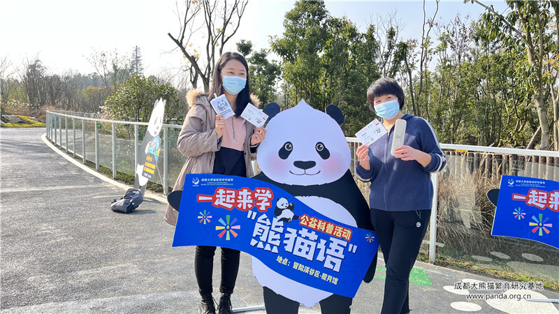 “熊猫基地最新动态”,熊猫基地最新动态