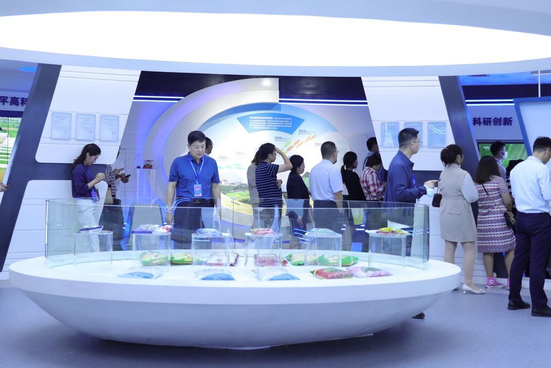 长沙上市公司数量,长沙上市公司数量，科技巨头的新舞台，展现未来之城的力量