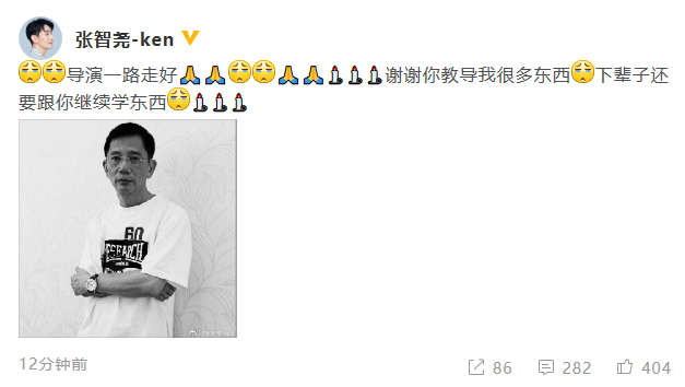 险角演员,险角演员，背景、历程与地位