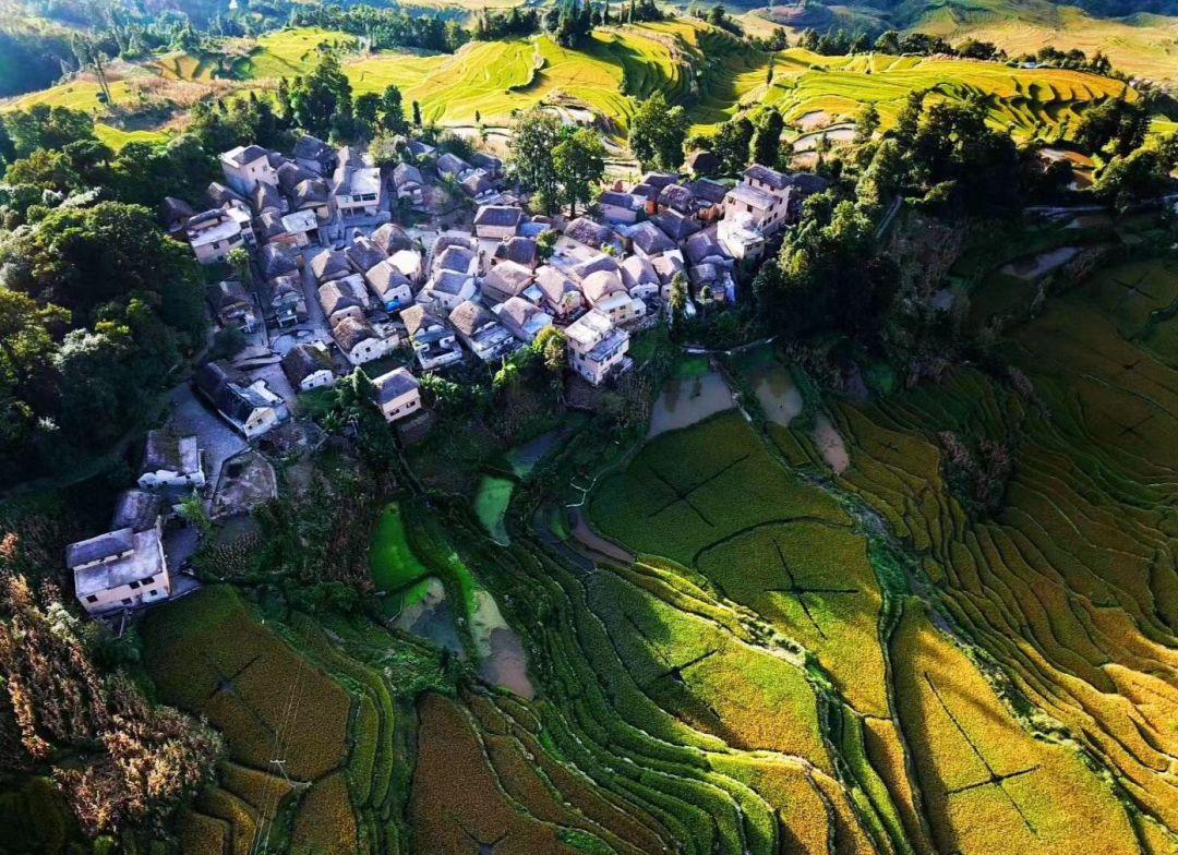 红河电影,红河电影，一场自然美景的探索之旅，唤醒内心的平静