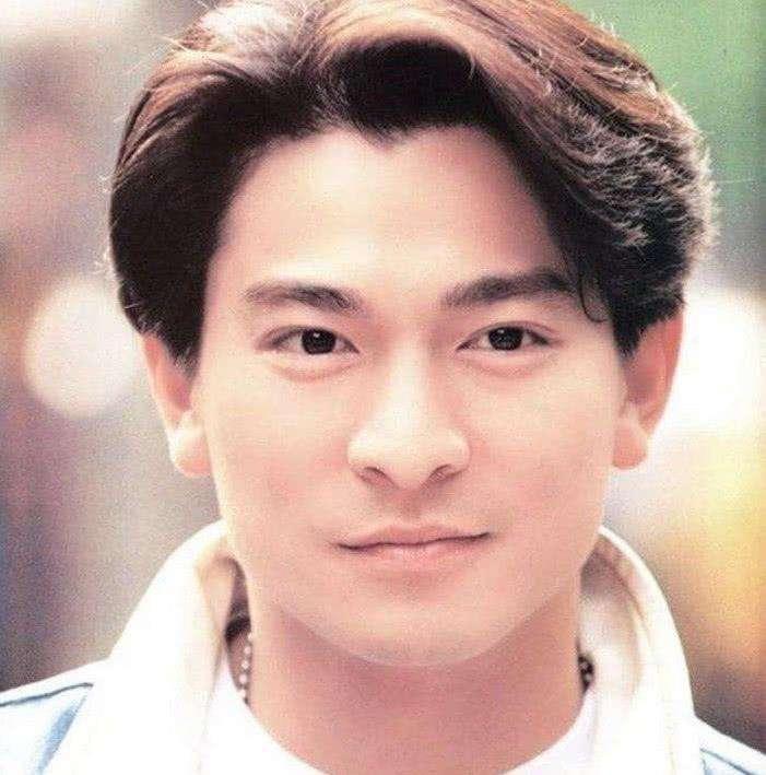 影视男明星,影视男明星，星光熠熠的魅力与影响