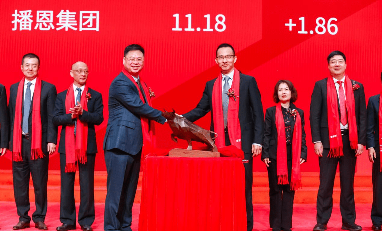 恩墨上市,恩墨上市，科技领域的又一里程碑事件
